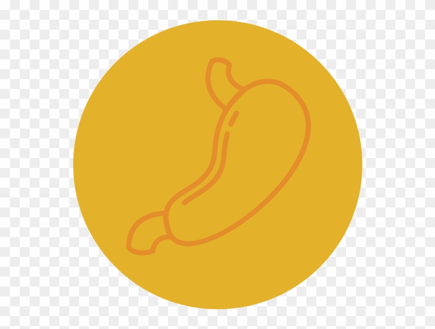 Stomach - Health Care Clipart