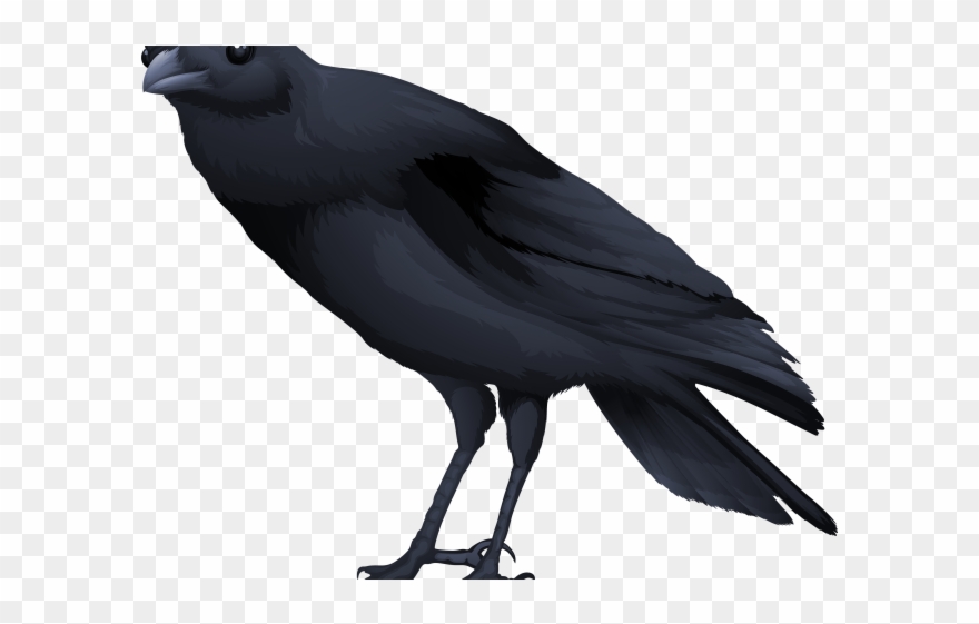 Blackbird Clipart Koyal - Png Bird Transparent Png