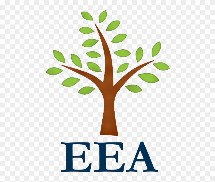 Eea Learning Academy Is Looking For A Dedicated Individual - 24 Mantra Organic Green Tea 100gms Clipart