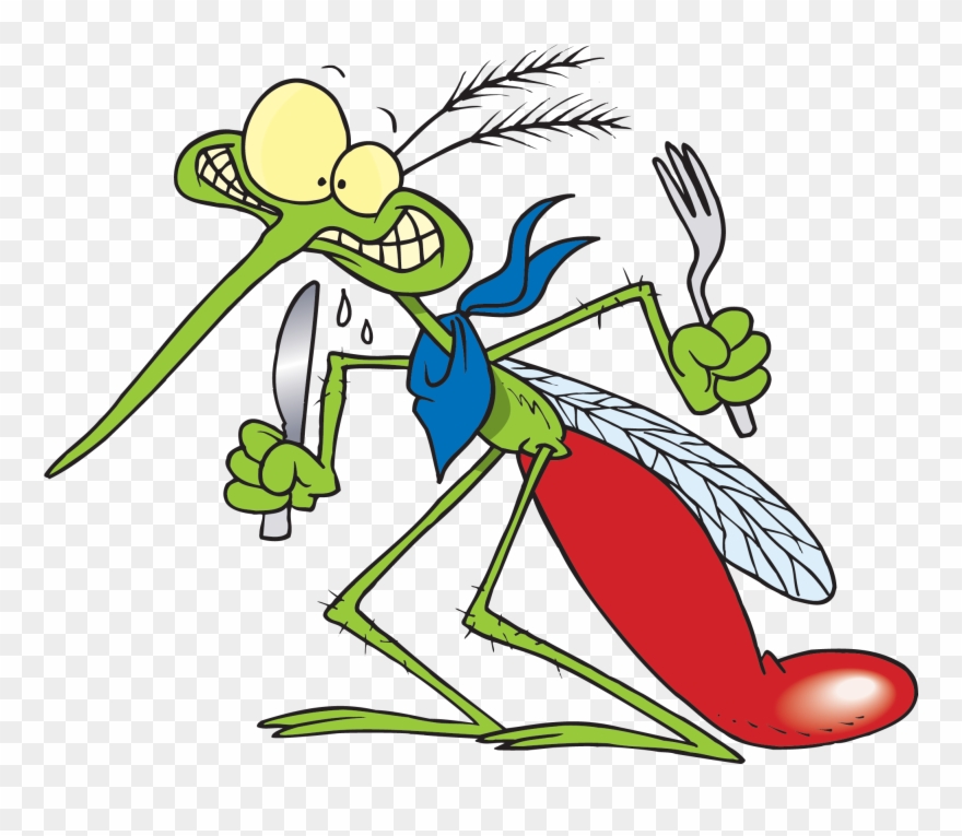Picture From Lesleylyle - Funny Pics Of Mosquitoes Clipart