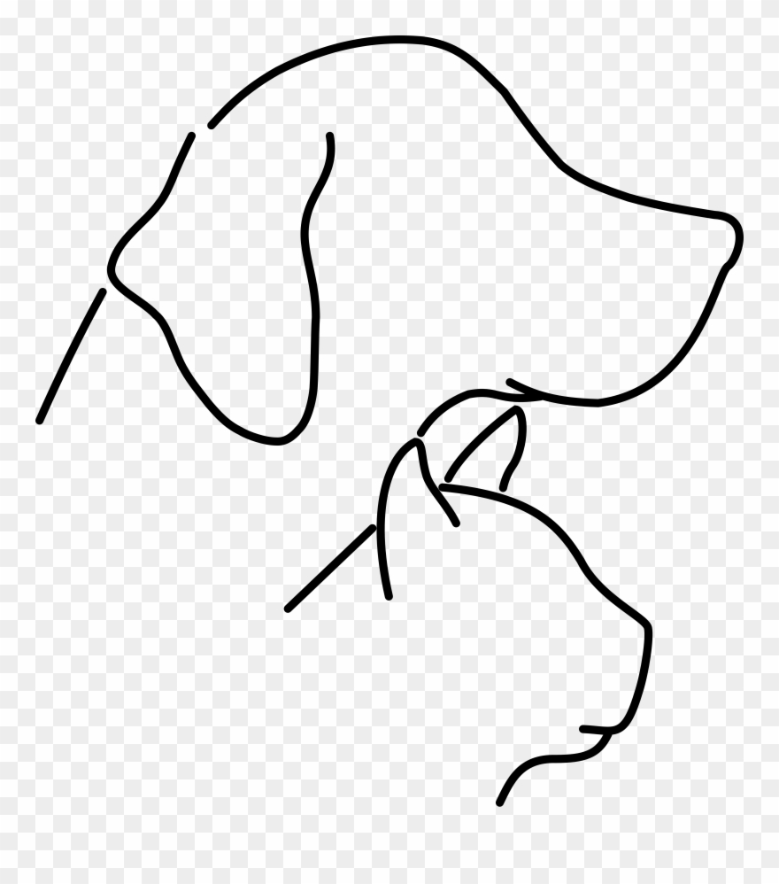 Veterinarians Drawing Easy Clipart