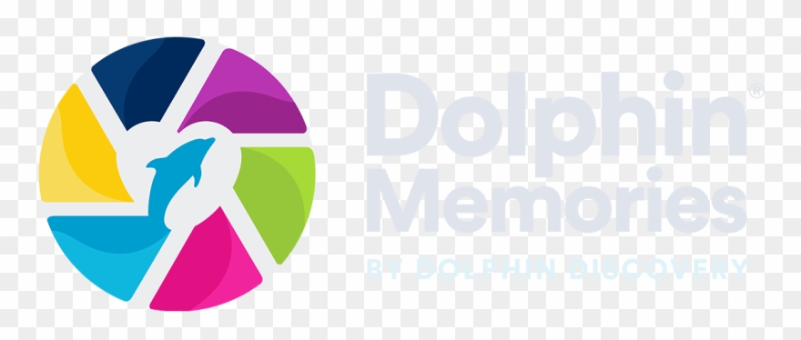 Dolphin Discovery Memories Clipart