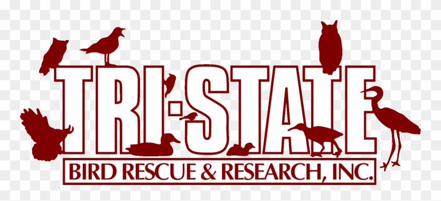 Confirmation Clipart