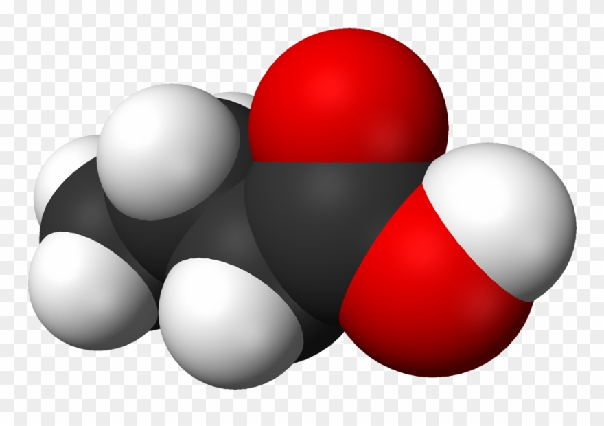 According To Eugoogoly, Butyric Acid Is Present In, - Butanoic Acid Model Clipart