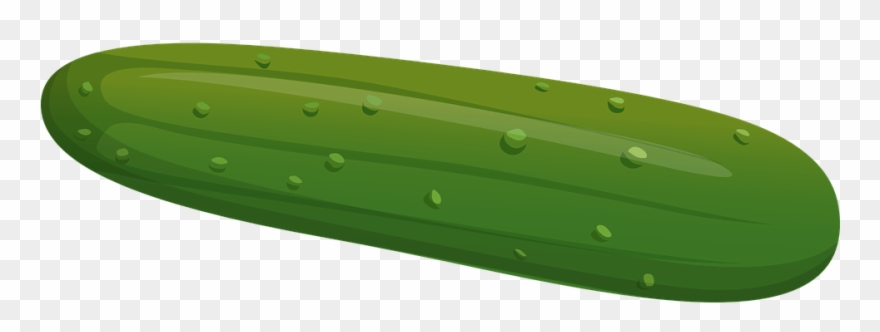 Cucumber Vector Png Clipart