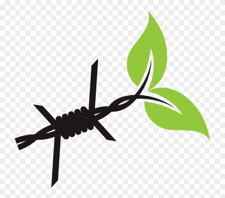 Research Teams - Presentation Clipart