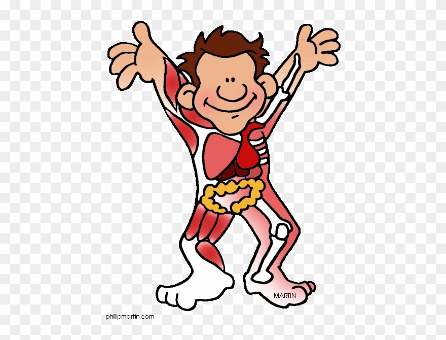 Human Body Systems Clipart 3 By Michael - Human Body Systems Cartoon - Png Download