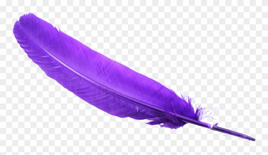 Feather Png Clipart