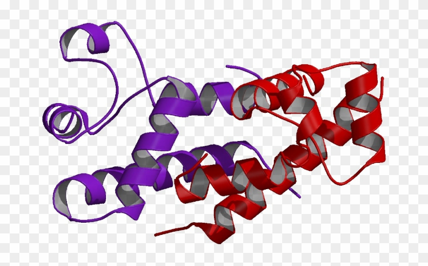 Cd82 Molecule, Kai1, Metastasis Suppressor Kangai-1 Clipart