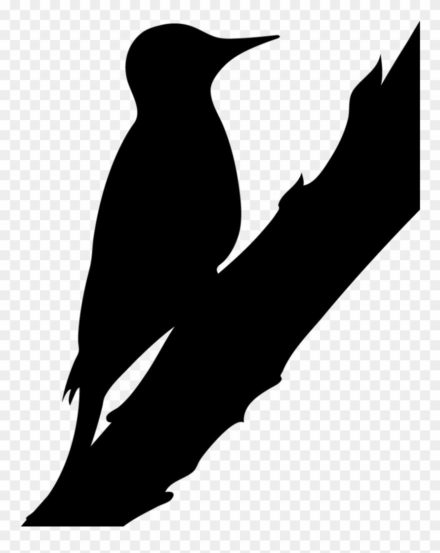 Woodpeckers - Silhouette Northern Flicker Clipart
