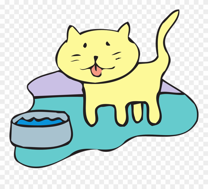 Cat-45770 960 - Water Cat Clip Art - Png Download