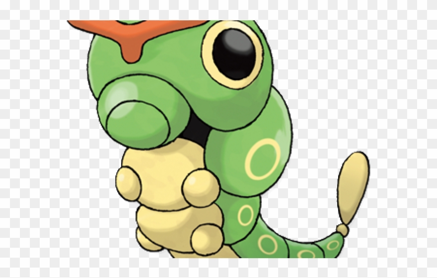 Pokemon Clipart Caterpie - Real Life Weedle Pokemon - Png Download