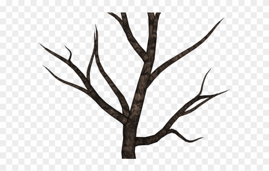 Trunk Clipart Spooky Tree - Far Away And Ever After [book] - Png Download