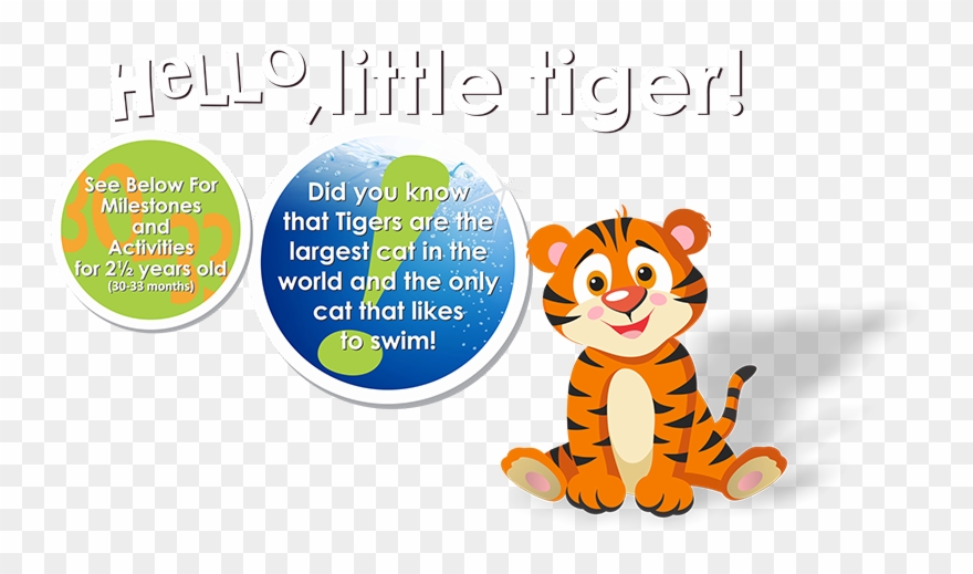 Tiger - Cartoon Clipart
