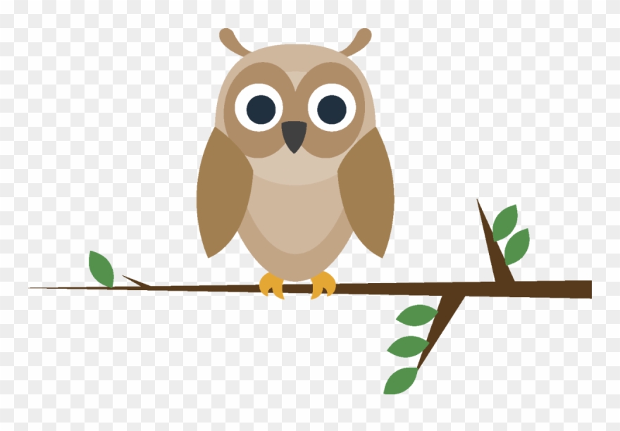 Did You Know That There Are 155 Different Kinds Of - Bible Clipart