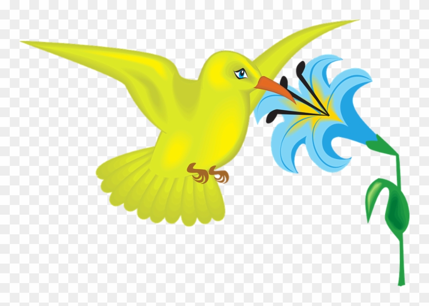 Feeding Hummingbirds - Hummingbird On Flower Clipart - Png Download