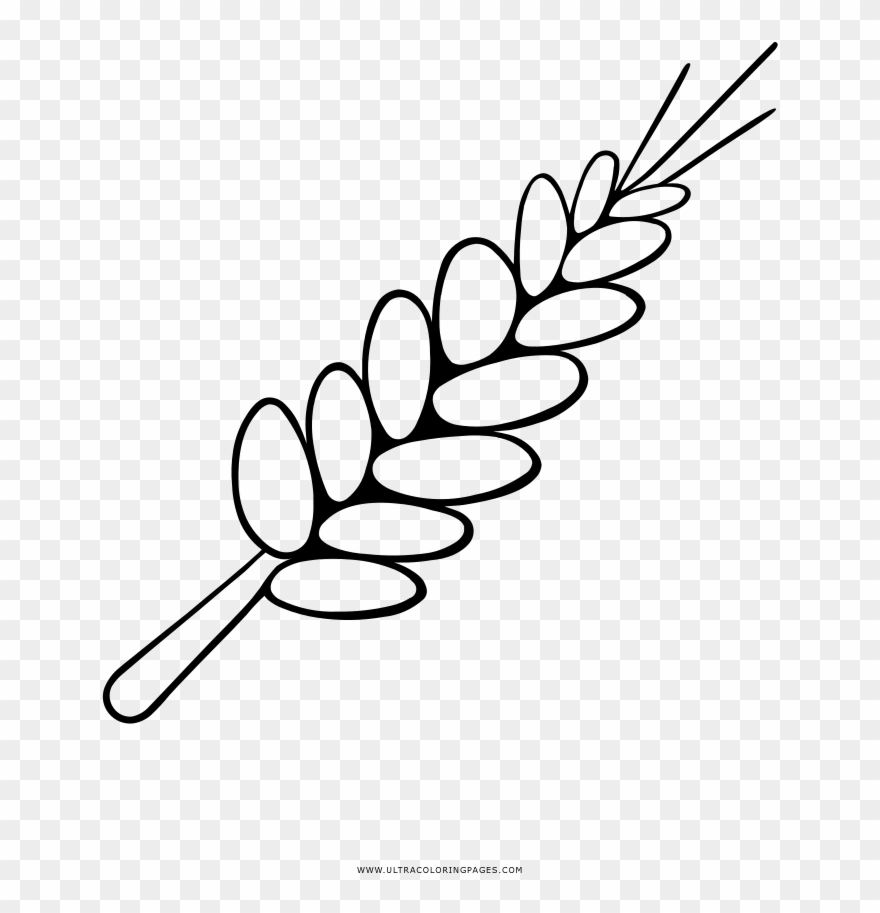 And Wheat Coloring Page - Trigo Animado Para Colorear Clipart