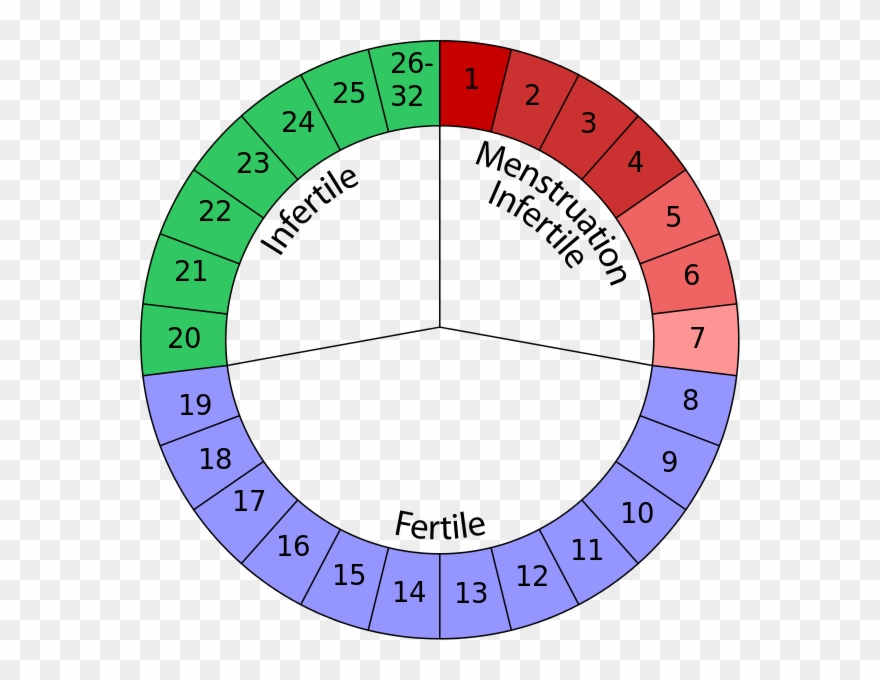 Friends Of Vegan And Crossfit Enthusiast Couple Tim - Natural Contraception Clipart