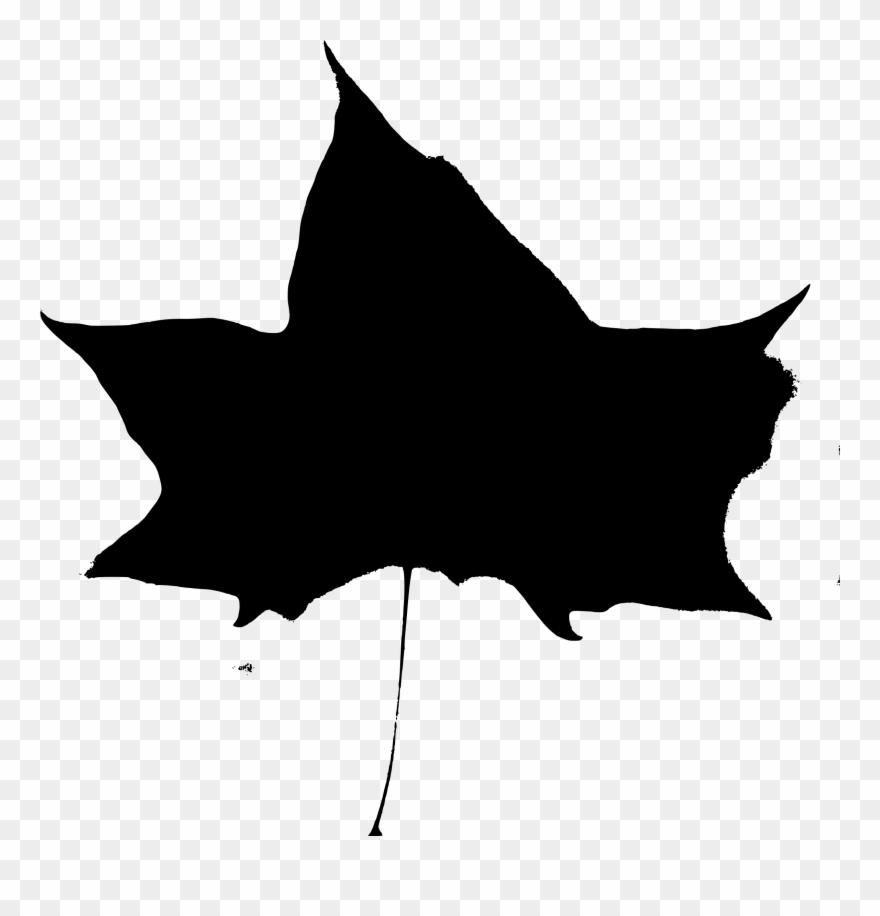 Big Image - Illustration Clipart