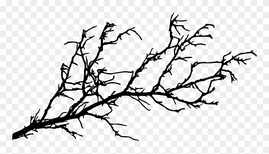 Clip Freeuse Stock Silhouette Branch At Getdrawings - Tree Branch Silhouette Png Transparent Png