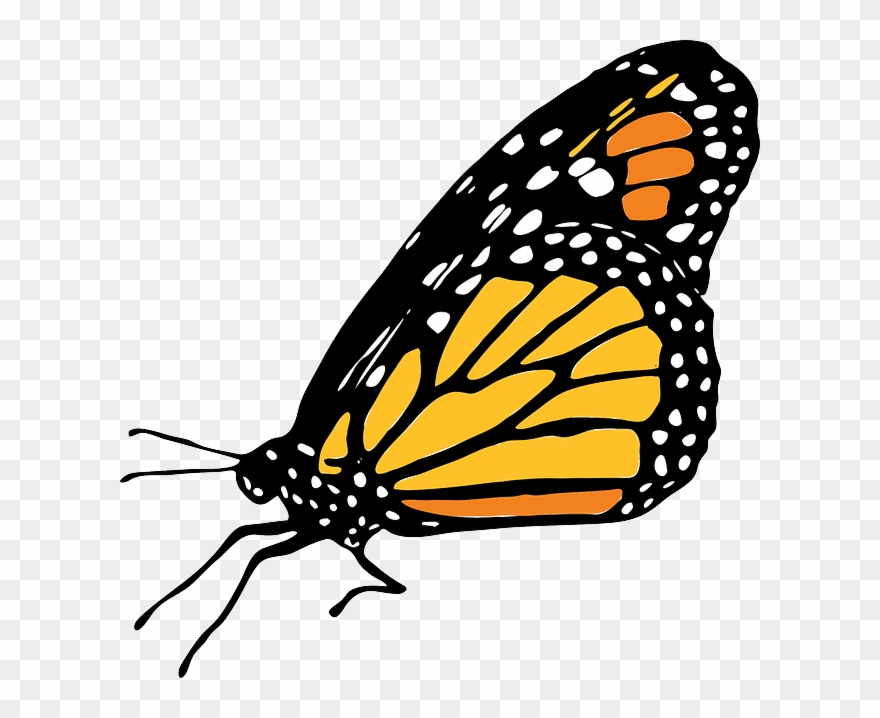 Animated Art Supplies - Under The Dome Four Hands Cube Ottoman Clipart