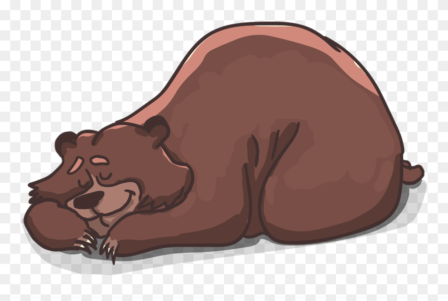 Sleeping Bear - Brown Bear Sleeping Clipart - Png Download
