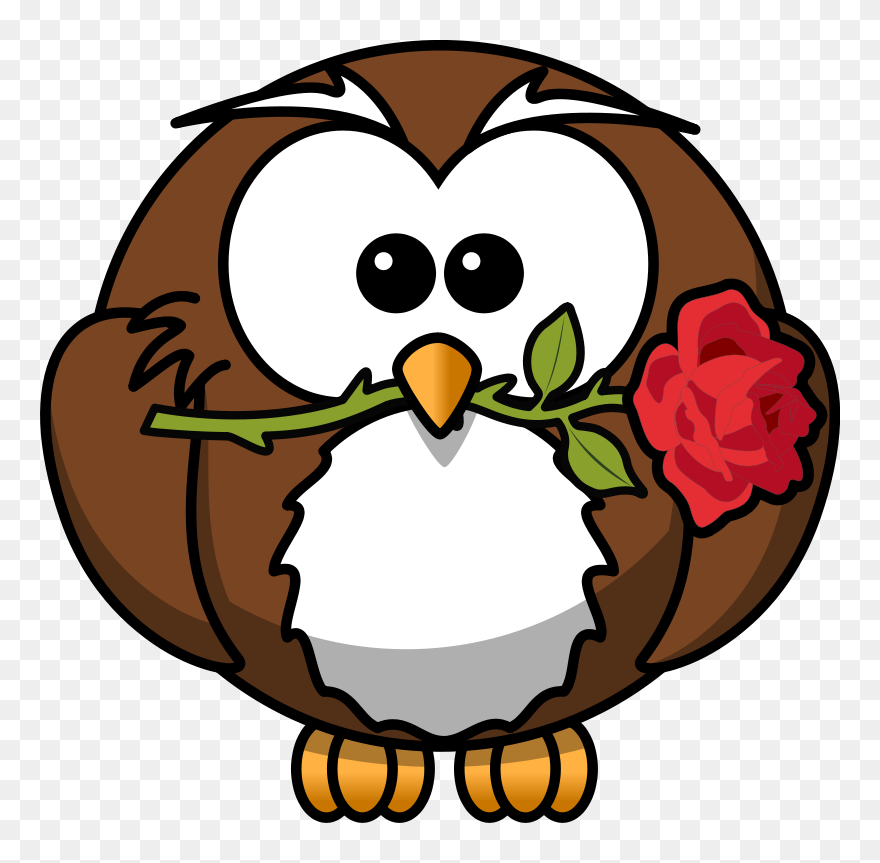 Nocturnal Animals Clipart - Png Download