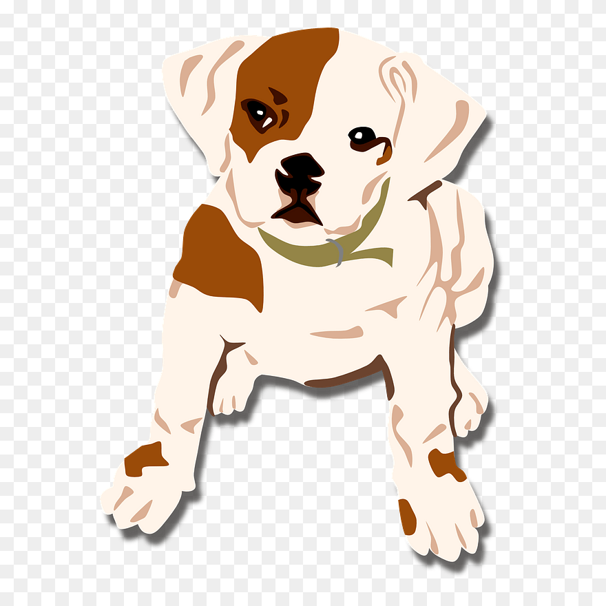 Bulldog Puppy Clipart - Puppy - Png Download
