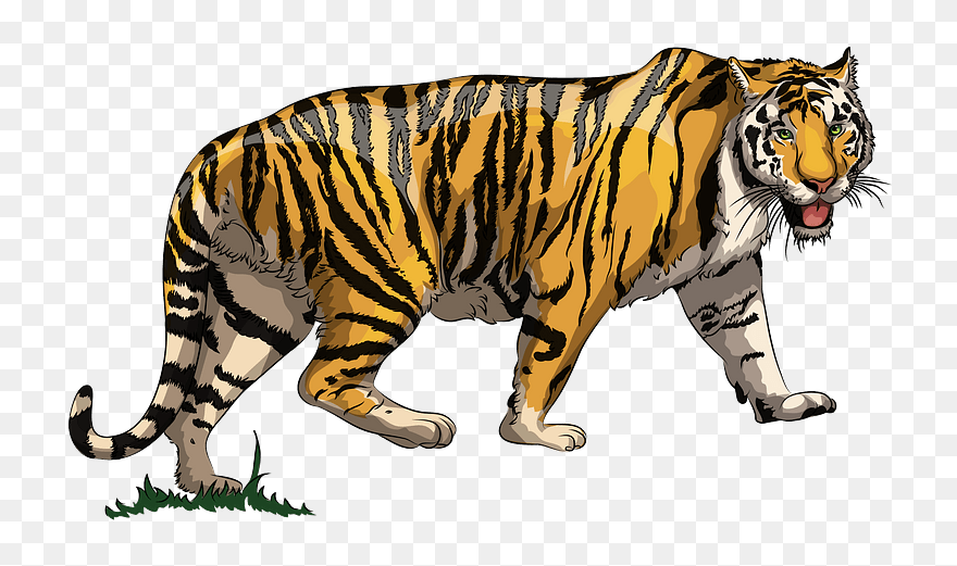 Tiger Clipart - Png Download
