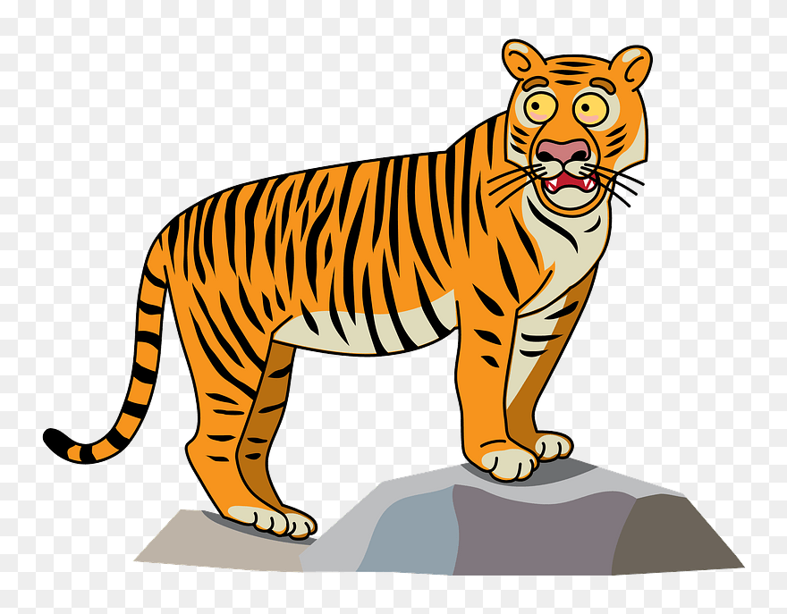 Tiger Clipart - Bengal Tiger - Png Download