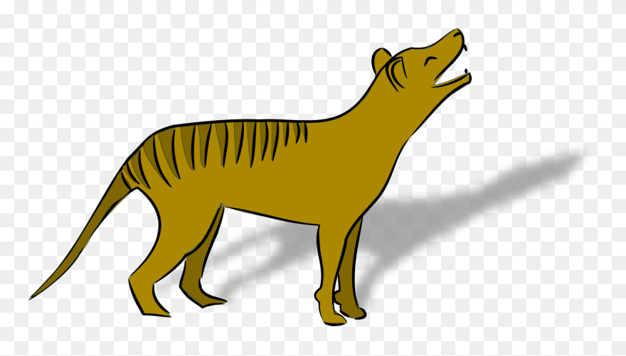 Thylacine Clipart - Png Download