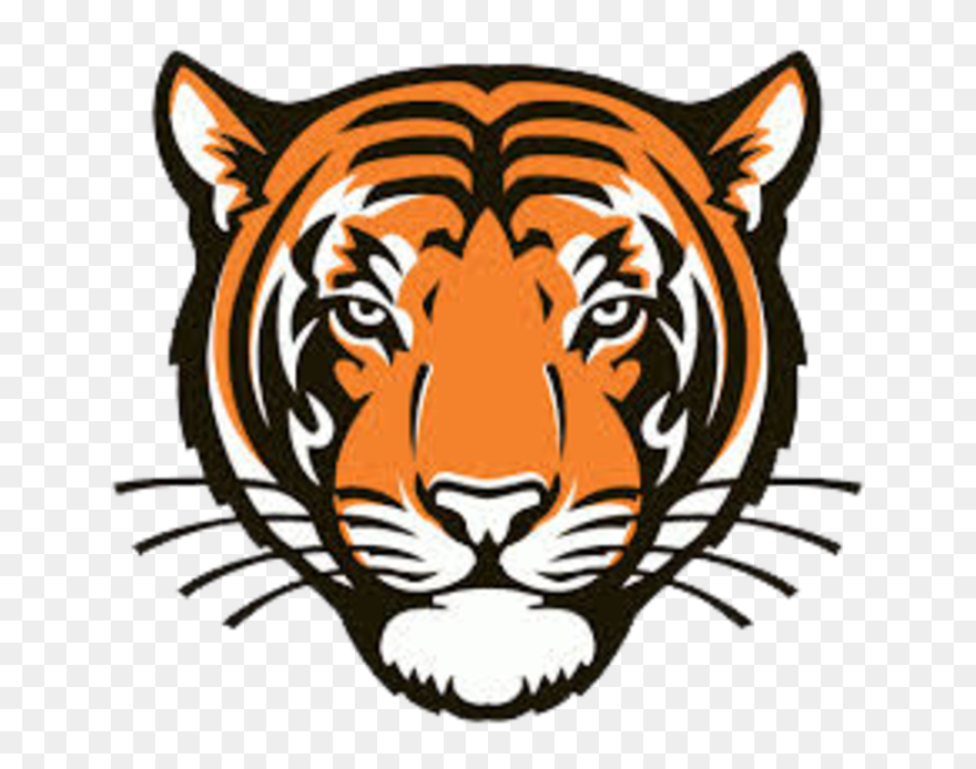 Tiger Coming Out Of Basketball Clipart Royalty Free - Princeton University School Mascot - Png Download