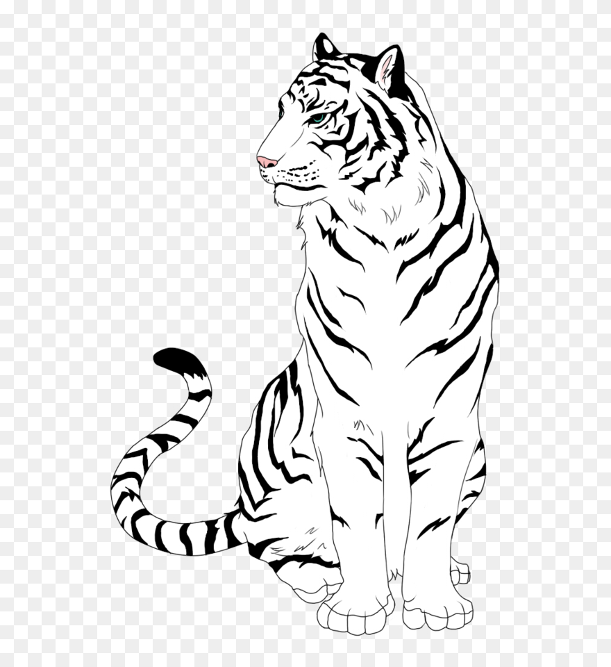 Tigers Drawing Sketch Transparent Png Clipart Free - Black And White Tiger Clipart
