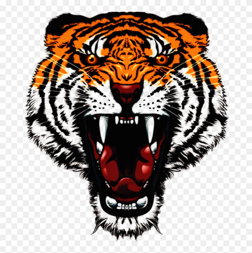 Transparent Angry Mouth Png - Angry Tiger Face Png Clipart