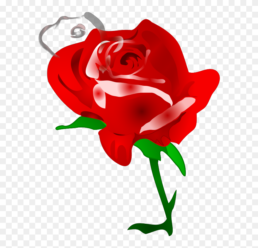 Cartoon Red Rose Clipart