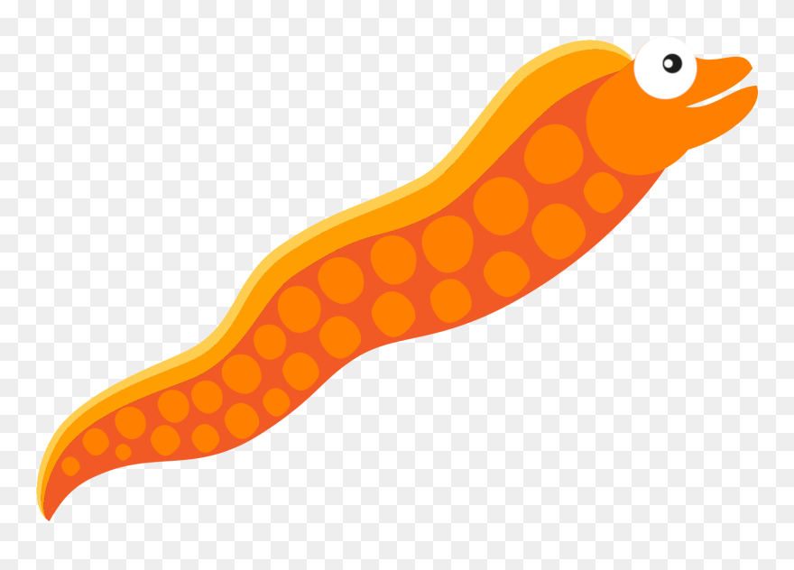 Clip Art - Png Download