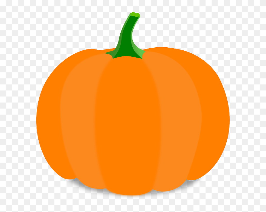 Vector Pumpkins Real - Pumpkin Clip Art - Png Download