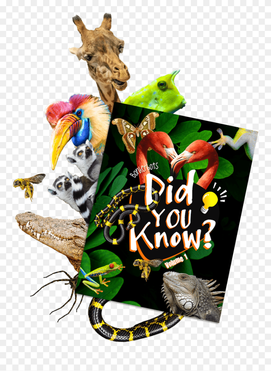 Illustration Clipart