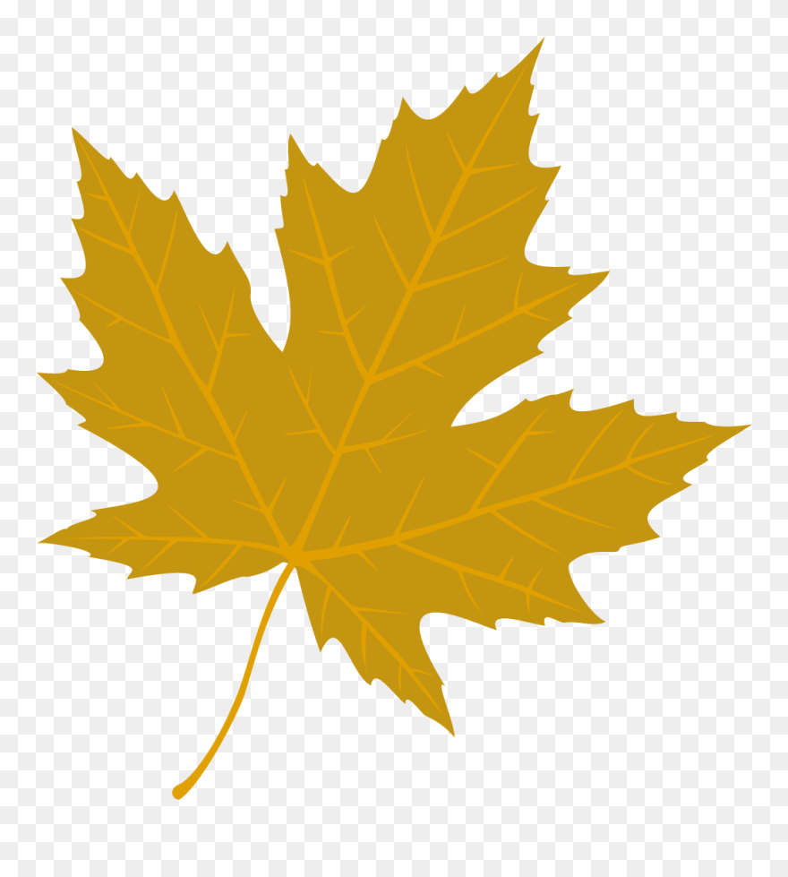 Maple Leaf Clipart