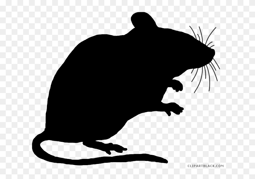 Clipart Mouse Black And White, Clipart Mouse Black - Transparent Background Rat Clipart - Png Download