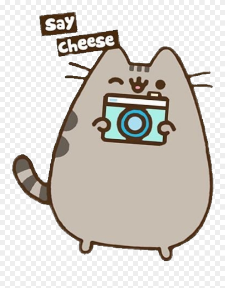 #cat #camera #cameracat #cute #love #summer #kitten - Cute Drawings Of Pusheen Cat Clipart