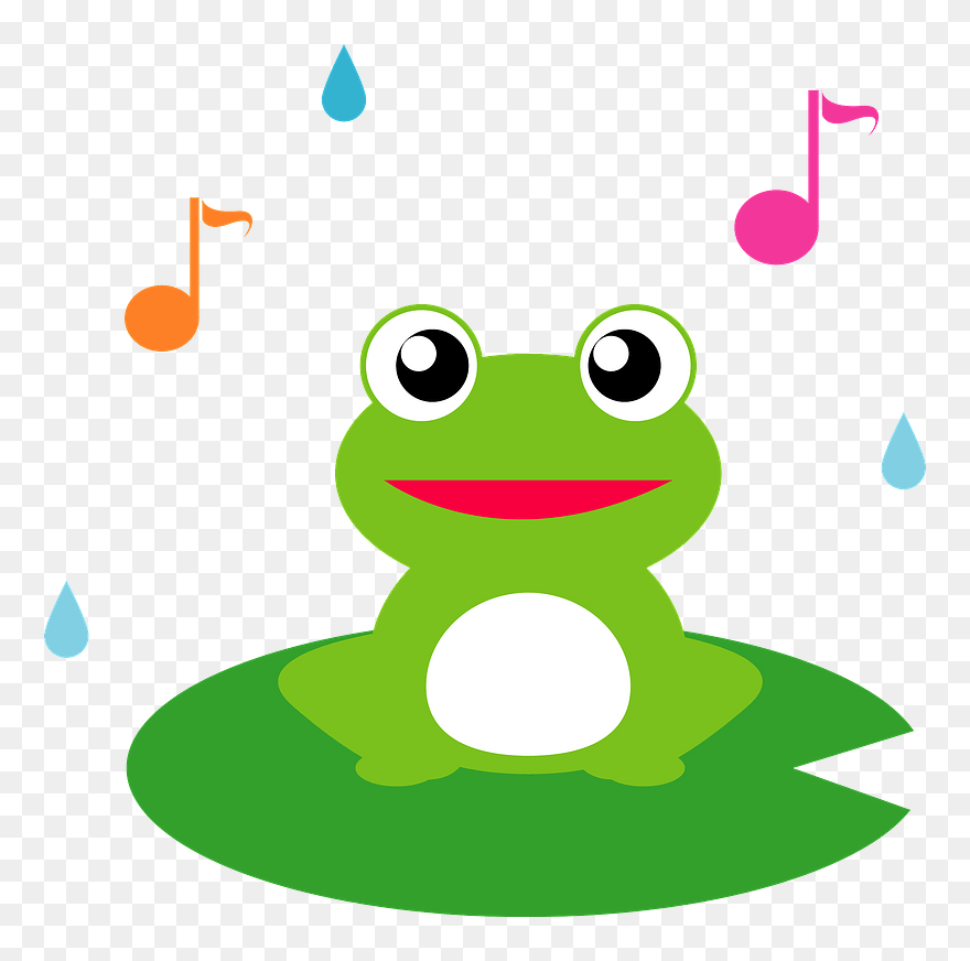 Frog Animal Clipart - True Frog - Png Download