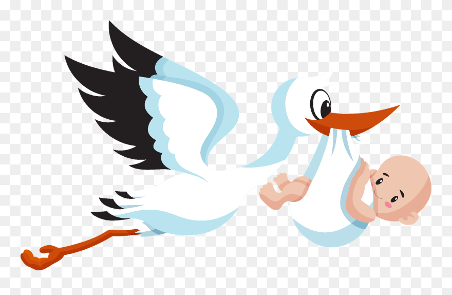 Cartoon Clipart