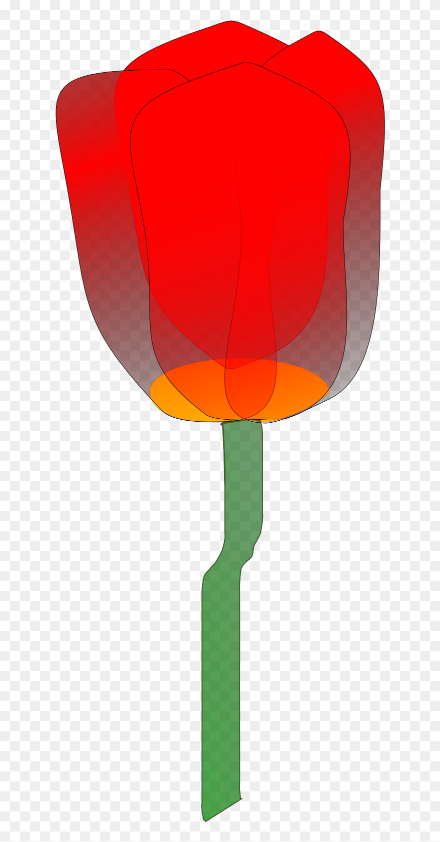Tulip Clipart