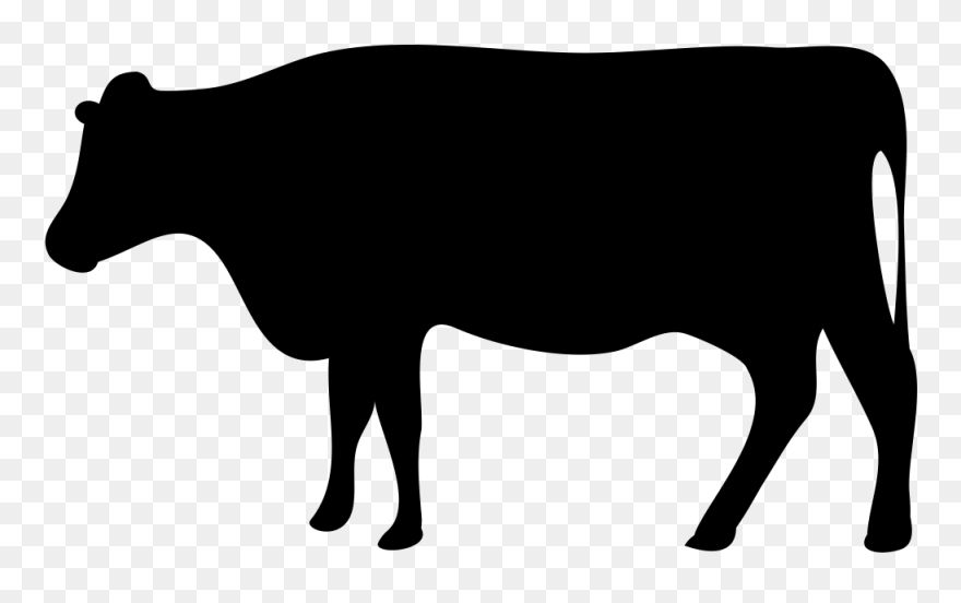 Beef Cattle Dairy Farming Livestock Dairy Cattle - Cattle Icon Clipart