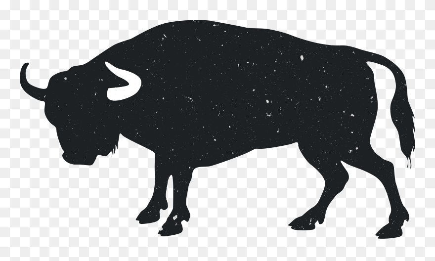 Angus Cattle Hereford Cattle Bull Drawing Clip Art - Bull Black Drawing - Png Download
