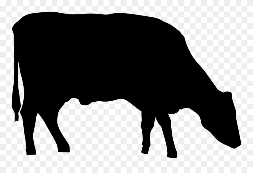 Cow Silhouette Png Clipart