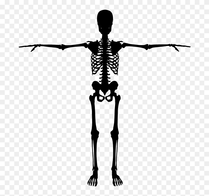 Halloween Dancing Skeleton Clipart Vector Royalty Free - Back Of Skeleton Png Transparent Png