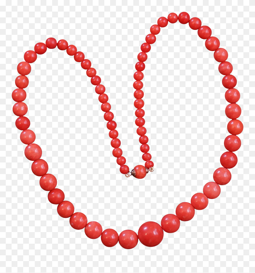 Coral Necklace Clipart - Png Download