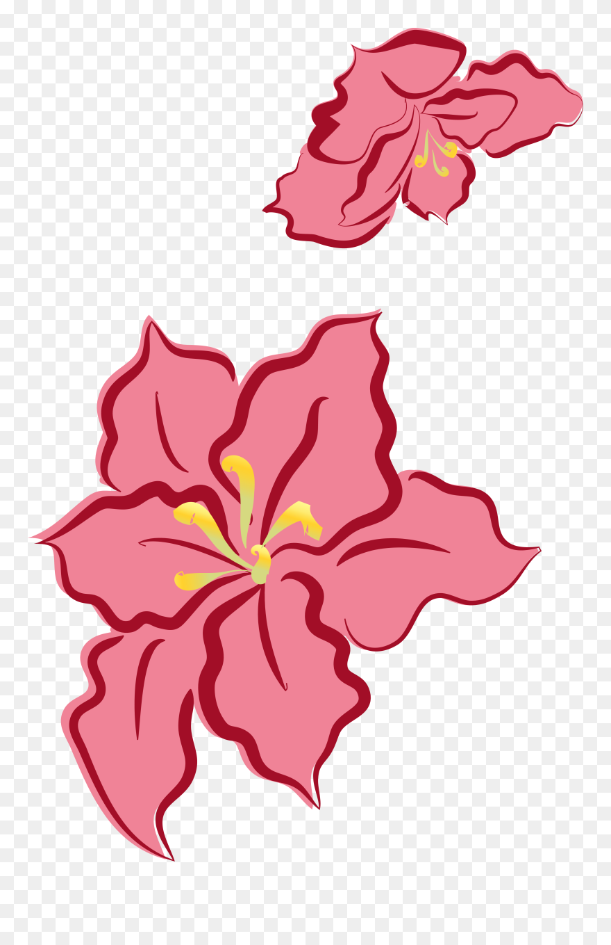 Poinsettias Clipart Outline - Flower Outline Color - Png Download